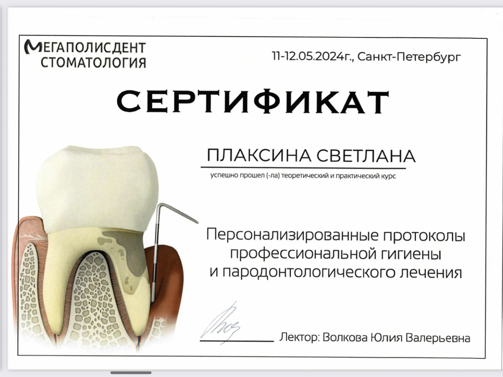 Репина Светлана Александровна